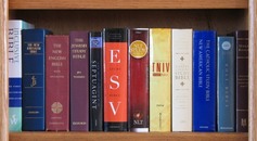 Bible shelf
