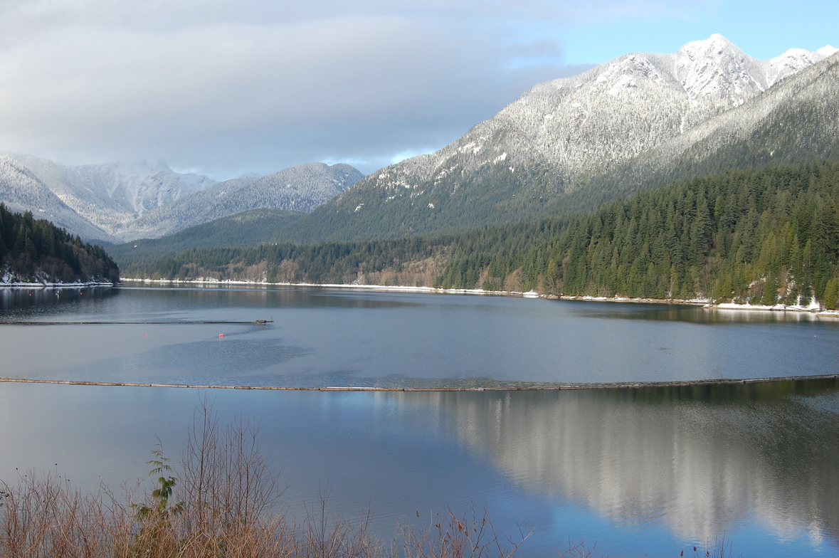 Slideshow image