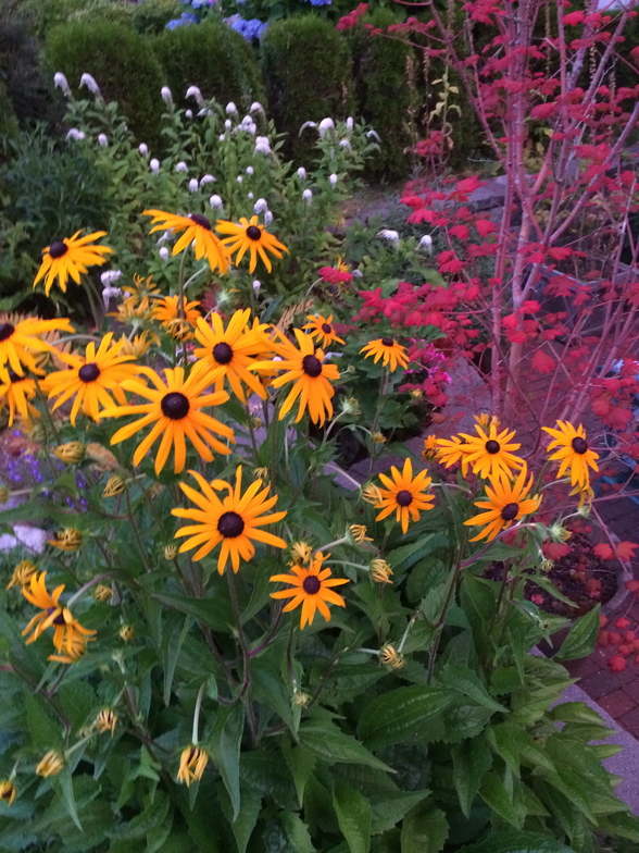 Slideshow image