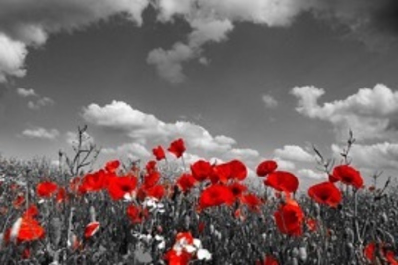 Remember, take courage AND rebuild